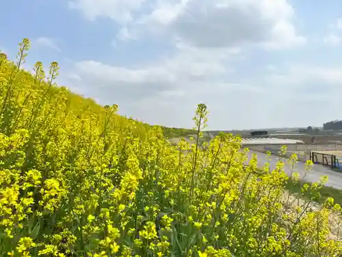 布施弁天 東海寺(千葉県)
