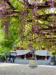 日枝神社の庭園
