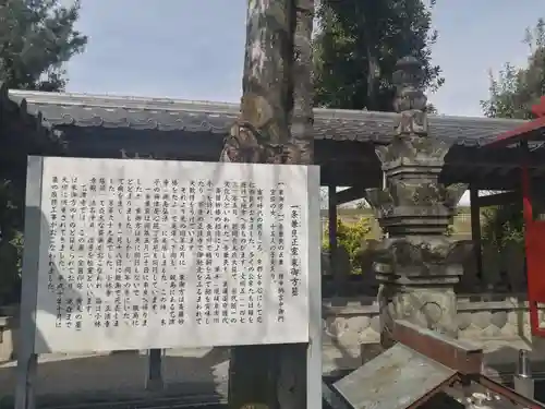 乙津寺　（鏡島弘法）のお墓