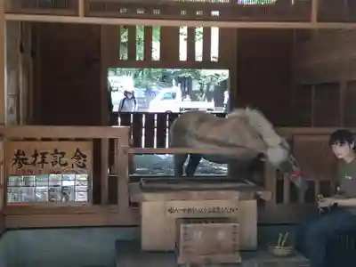 平塚八幡宮(神奈川県)