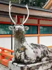 大原野神社の狛犬