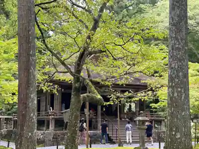 三千院門跡(京都府)