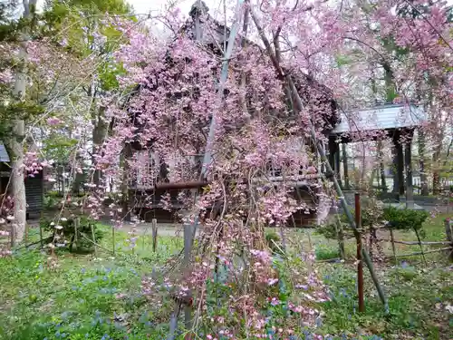 錦山天満宮の自然