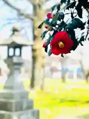 守りの神　藤基神社(新潟県)