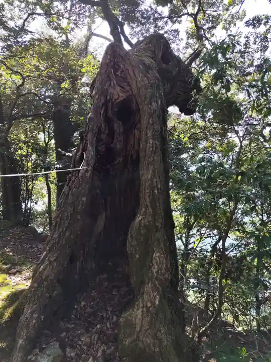 大崎寺(滋賀県)