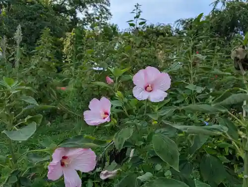 阿久津「田村神社」（郡山市阿久津町）旧社名：伊豆箱根三嶋三社(福島県)