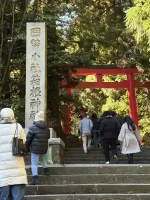 箱根神社の御朱印