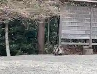 大島神社(宮城県)