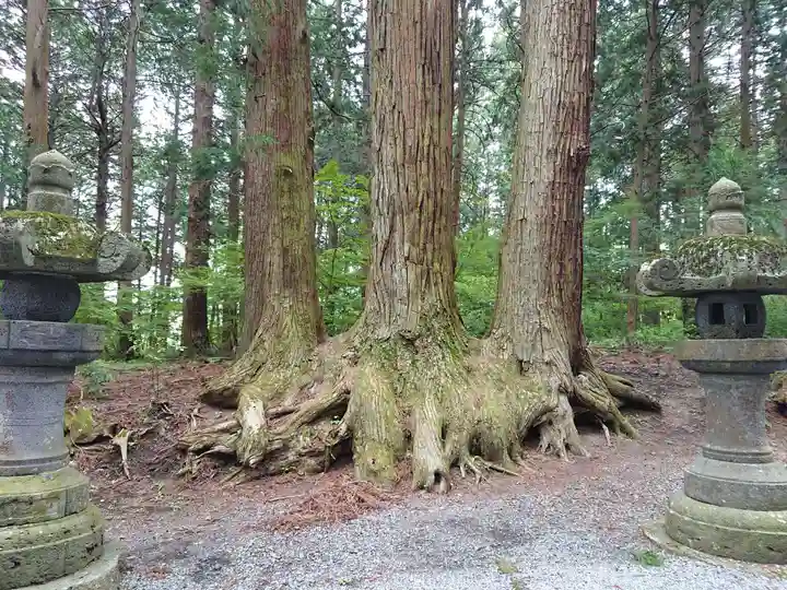 北口本宮冨士浅間神社の自然