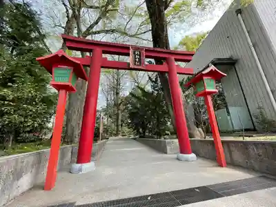 秩父神社の鳥居