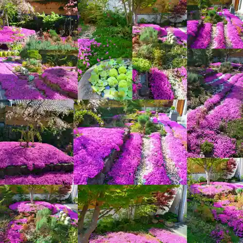 寿量山　速成寺(奈良県)