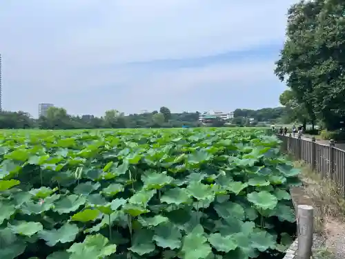 寛永寺不忍池弁天堂(東京都)