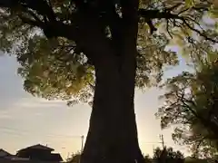 津江神社(福岡県)