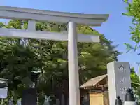 白旗神社の鳥居