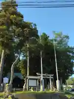 子ノ神社(早野)(神奈川県)