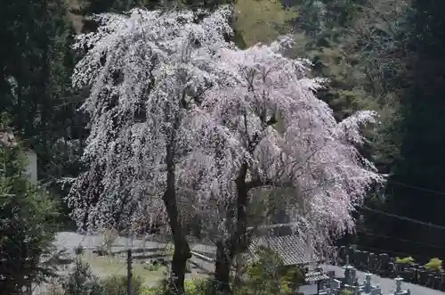 久遠寺(山梨県)