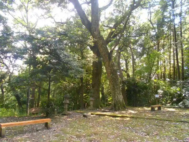 熊野神社の自然
