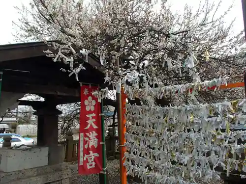  高鳥天満宮のおみくじ