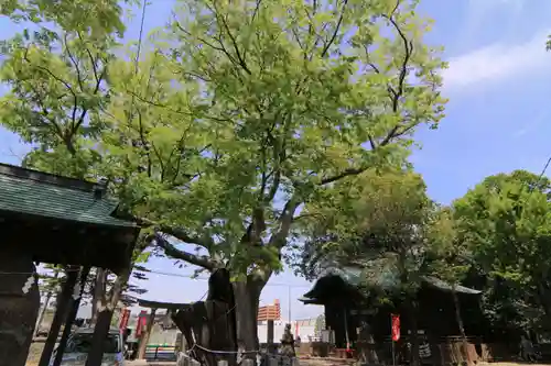 阿邪訶根神社の景色