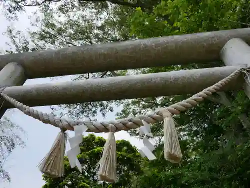 佐波波地祇神社の鳥居