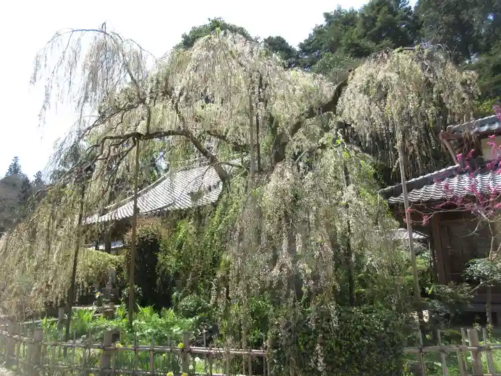 大野寺のその他建物