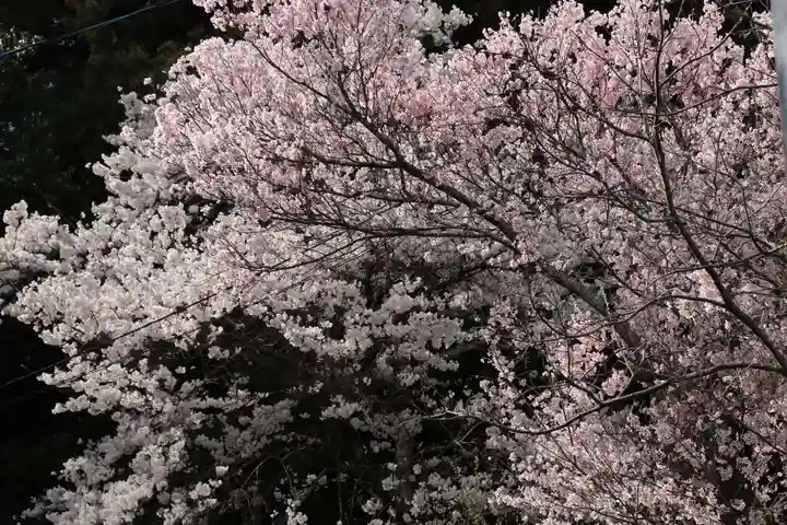 若草木神社の自然