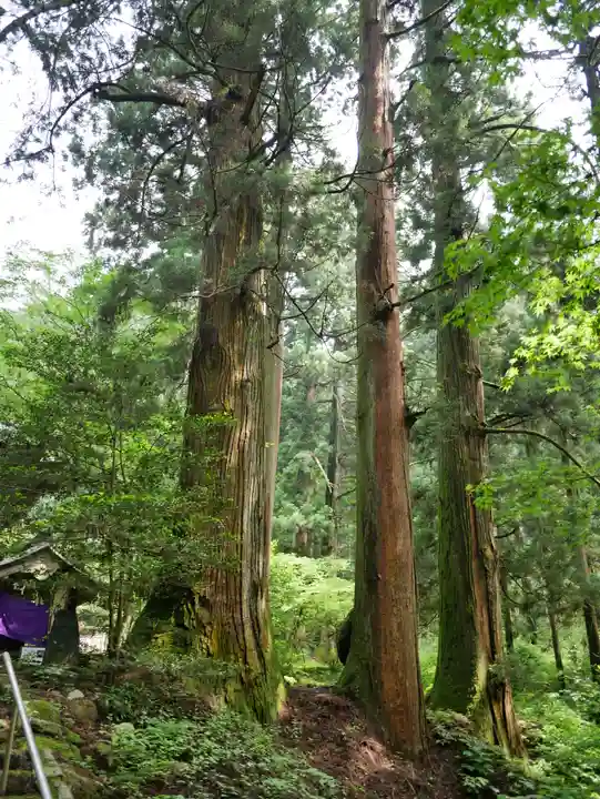 花園神社(茨城県)