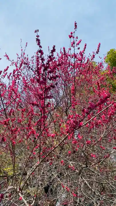 東沼神社の自然