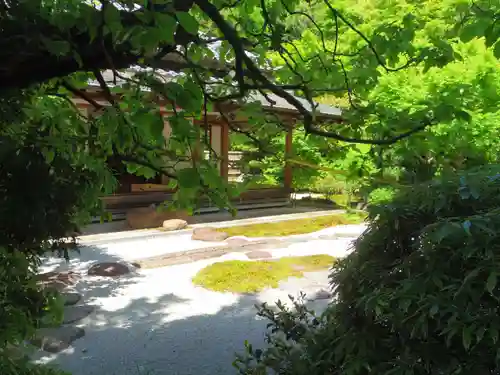 浄妙寺の庭園