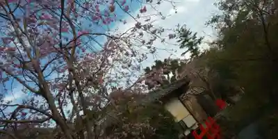 出雲大神宮のその他建物