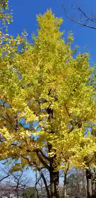 北野神社の庭園