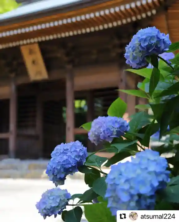 普門寺(切り絵御朱印発祥の寺)のその他建物