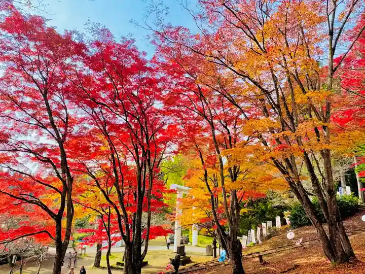 土津神社|こどもと出世の神さま(福島県)