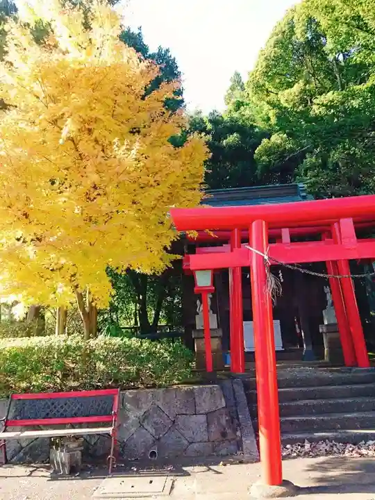 南大沢八幡神社の鳥居