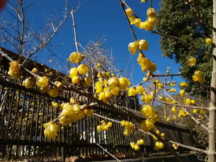 板倉雷電神社(群馬県)
