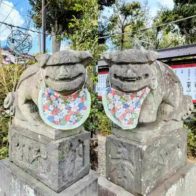 菊田神社の狛犬