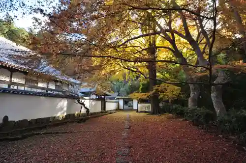 如法寺(愛媛県)