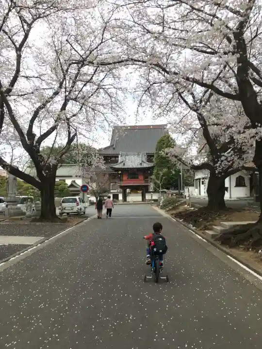 大應寺の{uncategorized: "未分類", other: "その他", undefined: "問題あり", building: "その他建物", grave: "お墓", sacred_gate: "鳥居", guardian: "狛犬", statue: "像", buddha: "仏像", history: "歴史", nature: "自然", garden: "庭園", animal: "動物", pagoda: "塔", temizu: "手水舎", mountain_gate: "山門・神門", sanctuary: "本殿・本堂", subordinate: "末社・摂社", art: "芸術", scenery: "景色", jizo: "地蔵", ema: "絵馬", goshuin: "御朱印", omikuji: "おみくじ", items: "授与品その他", amulet: "お守り", goshuincho: "御朱印帳", eats: "食事", festival: "お祭り", votive_dance: "神楽", shichigosan: "七五三参", wedding: "結婚式", experience: "体験その他", initially: "初詣", around: "周辺", anti_infection: "感染症対策"}