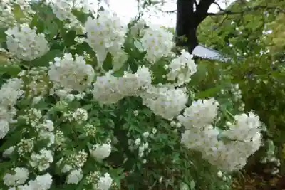 海龍王寺(奈良県)