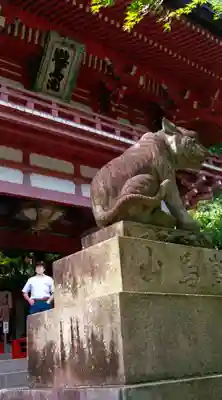 鞍馬寺の狛犬