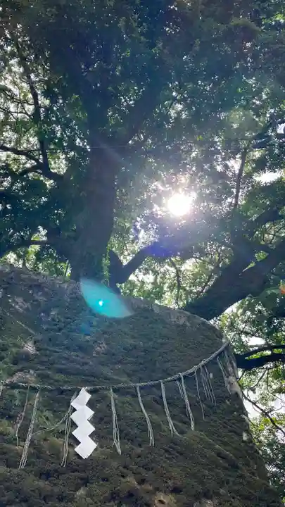 阿智神社(岡山県)