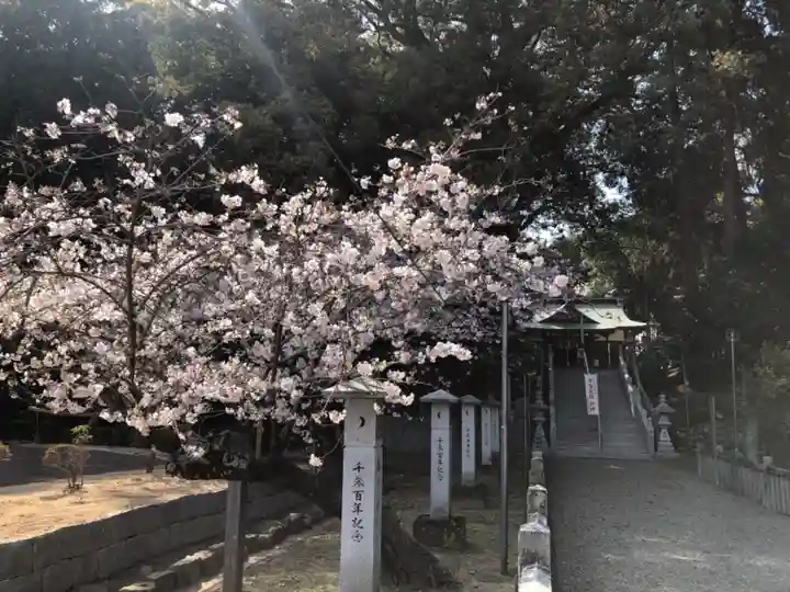 白山神社の自然
