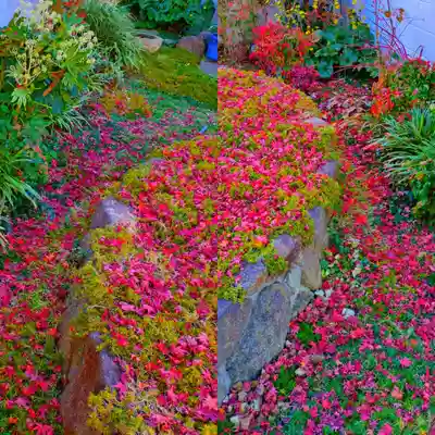 寿量山 速成寺(奈良県)