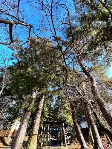 山家神社の鳥居