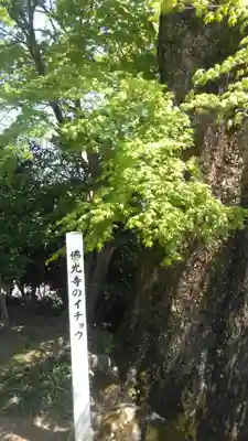 佛光寺のその他建物