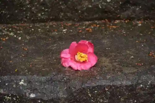大六天麻王神社の自然