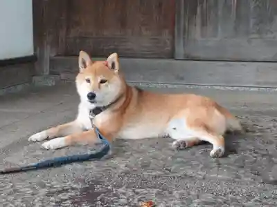 感通寺(東京都)