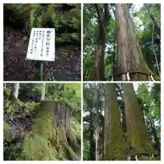 貴船神社奥宮(京都府)