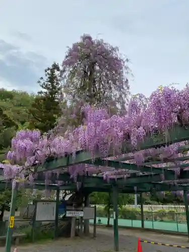 山梨岡神社(山梨県)