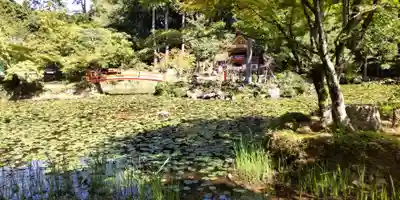 大原野神社(京都府)